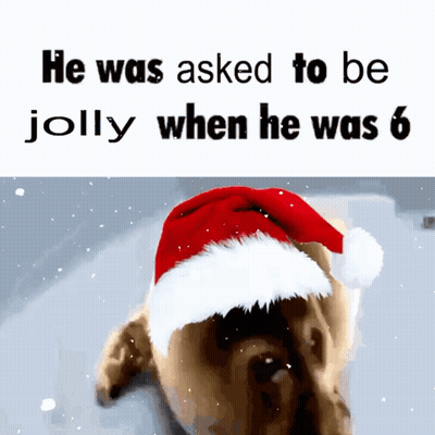 A Dog Wearing A Santa Hat With The Words He Was Asked To Be Jolly When He Was 6 Below It GIF