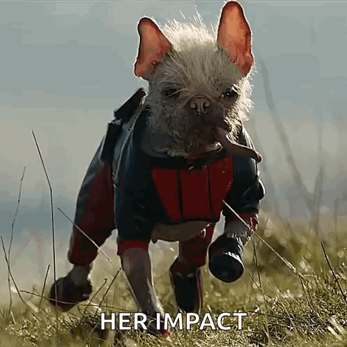 A Dog Wearing A Superhero Costume Is Running Through A Field With The Words Her Impact Written Below It GIF