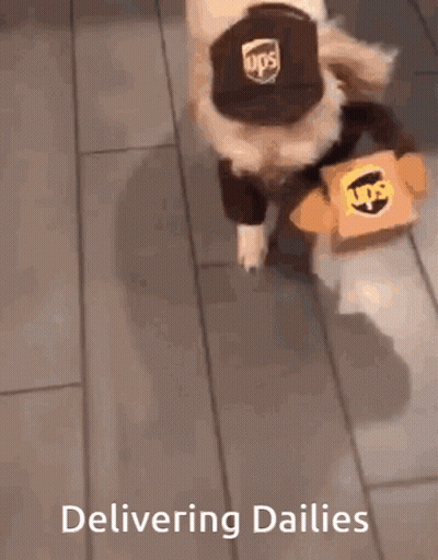 A Dog Wearing A Ups Hat And Carrying A Ups Box GIF