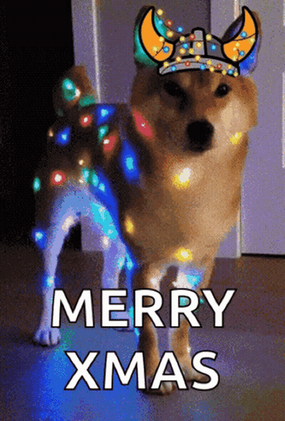 A Dog Wearing A Viking Hat With Christmas Lights On It GIF