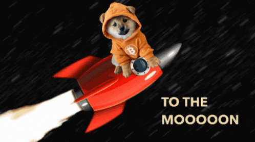 A Dog Wearing An Orange Hoodie Is Riding A Red Rocket With The Words To The Mooooon Written Below It GIF