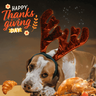 A Dog Wearing Antlers Laying Next To A Turkey And A Croissant With The Words Happy Thanksgiving Day In The Background GIF