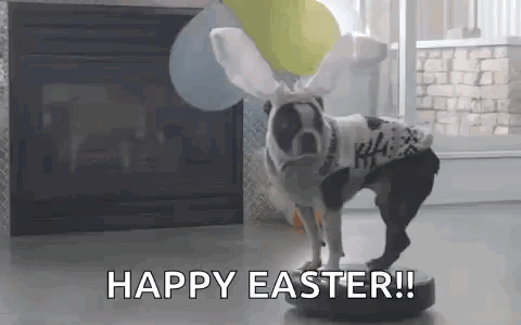 A Dog Wearing Bunny Ears And A Sweater Is Standing On Top Of A Robotic Vacuum Cleaner . GIF