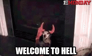 A Dog Wearing Devil Horns Is Standing In A Room With The Words Welcome To Hell Written On The Bottom GIF