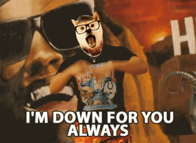 A Dog Wearing Glasses And A Beard Says " I 'M Down For You Always " GIF