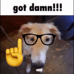 A Dog Wearing Glasses And A Hand With The Word Got Damn Written Above It GIF