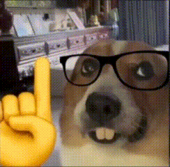A Dog Wearing Glasses And A Yellow Hand Giving A Horns Up Sign GIF