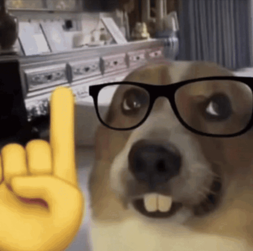 A Dog Wearing Glasses Is Making A Horns Up Sign GIF