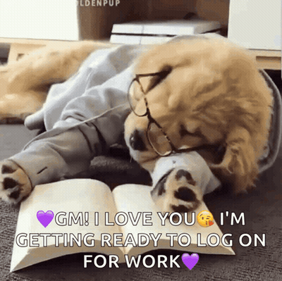 A Dog Wearing Glasses Is Reading A Book And Says Gm I Love You I M Getting Ready To Log On For Work GIF