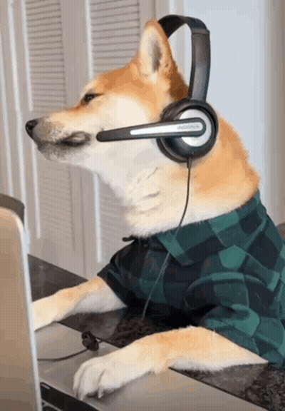 A Dog Wearing Headphones And A Plaid Shirt Is Using A Laptop GIF