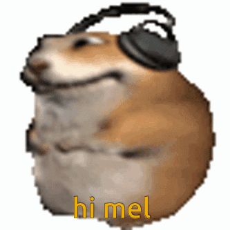 A Dog Wearing Headphones With The Words Hi Mel Written On It GIF