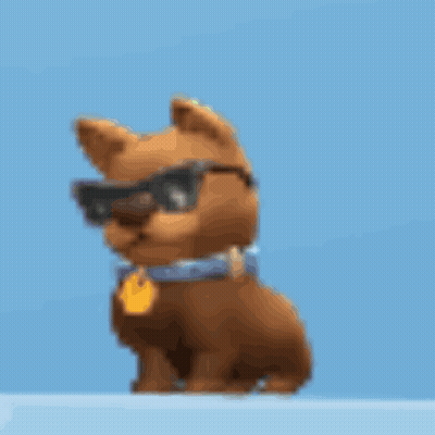 A Dog Wearing Sunglasses And A Blue Collar Is Sitting On A Blue Surface GIF