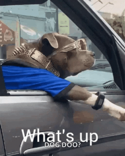 A Dog Wearing Sunglasses And A Blue Shirt Is In A Car GIF