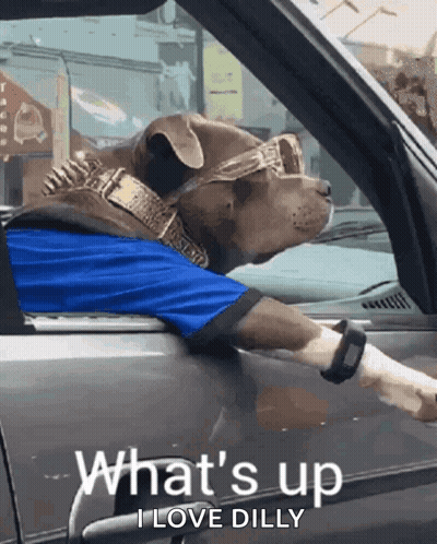A Dog Wearing Sunglasses And A Blue Shirt Is In A Car GIF
