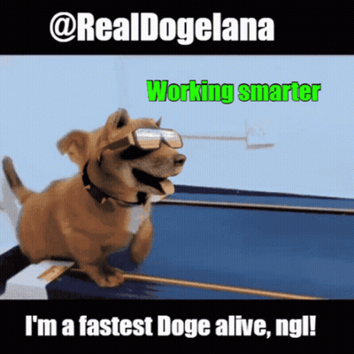 A Dog Wearing Sunglasses And A Collar Is Running On A Treadmill With The Caption Working Smarter GIF
