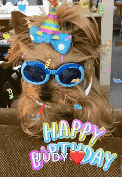 A Dog Wearing Sunglasses And A Party Hat With The Words Happy Birthday Judy GIF