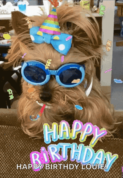 A Dog Wearing Sunglasses And A Party Hat With The Words Happy Birthday Louie GIF