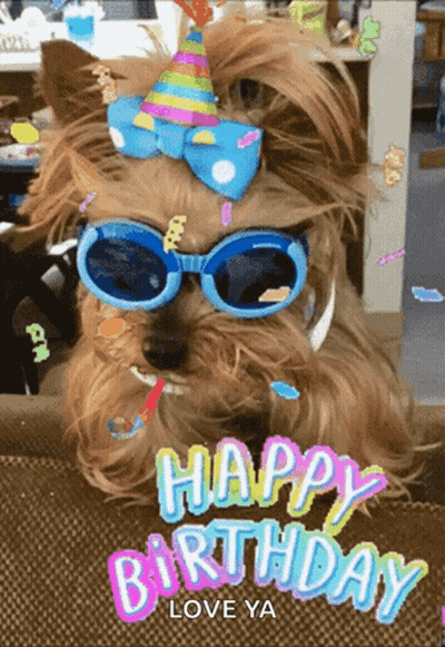 A Dog Wearing Sunglasses And A Party Hat With The Words Happy Birthday Love Ya GIF