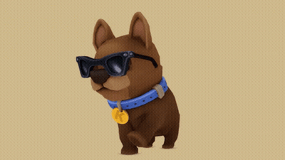 A Dog Wearing Sunglasses And A Tag That Says K On It GIF