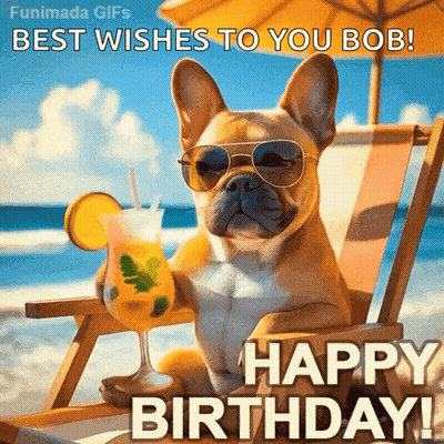 A Dog Wearing Sunglasses And Holding A Drink On The Beach Says Happy Birthday GIF