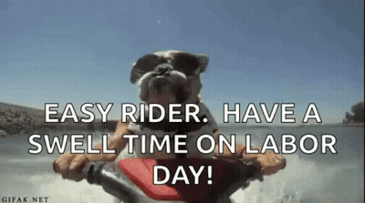 A Dog Wearing Sunglasses Is Riding A Jet Ski On Labor Day . GIF