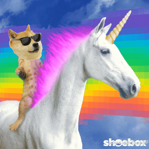 A Dog Wearing Sunglasses Rides On The Back Of A White Unicorn GIF