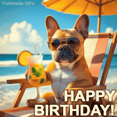 A Dog Wearing Sunglasses Sits On A Beach Chair Holding A Drink GIF