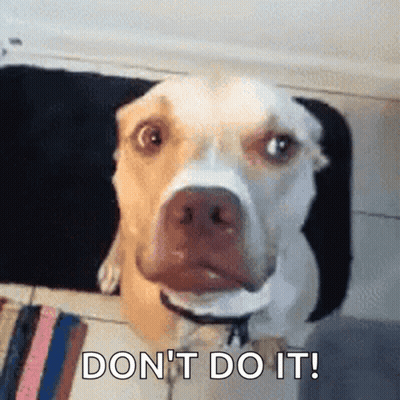 A Dog With A Bee On Its Nose And The Words " Do N't Do It " Next To It GIF