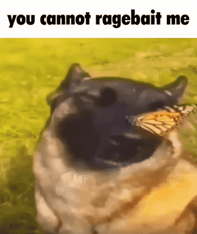 A Dog With A Butterfly In Its Mouth And The Words You Cannot Ragebait Me Above It GIF