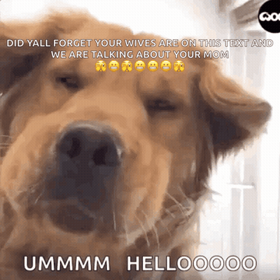 A Dog With A Caption That Says " Did Yall Forget Your Wives Are On This Text " GIF