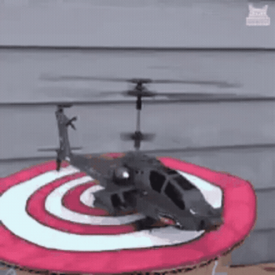 A Dog With A Helicopter On Top Of Its Head . GIF