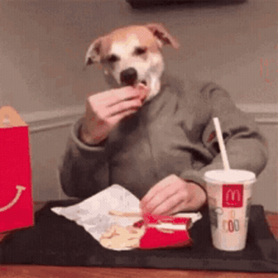 A Dog With A Human Face Is Eating A Hamburger At A Mcdonald 'S GIF