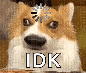 A Dog With A Loading Circle On Its Head And The Word Idk Below It GIF