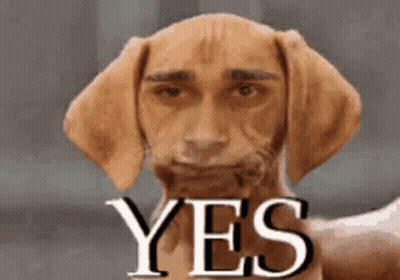A Dog With A Man 'S Face And The Word Yes GIF