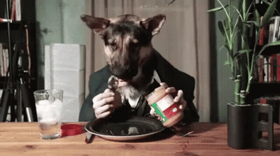 A Dog With A Man 'S Face Is Eating Peanut Butter From A Plate . GIF