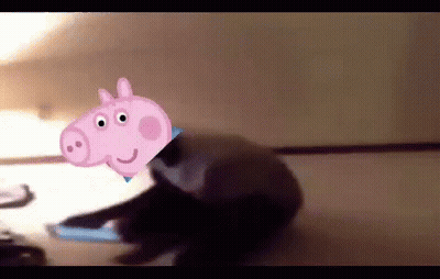 A Dog With A Picture Of Peppa Pig On It 'S Head . GIF