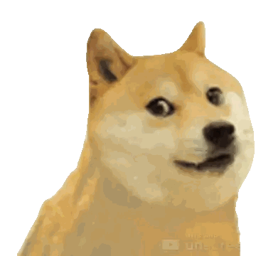 A Dog With A Rainbow Colored Swirl Around It 'S Head Sticker