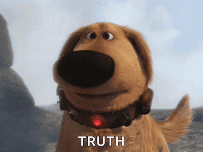 A Dog With A Red Collar Says Truth In Front Of Him GIF