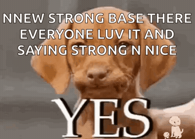 A Dog With A Yes Sign On It GIF