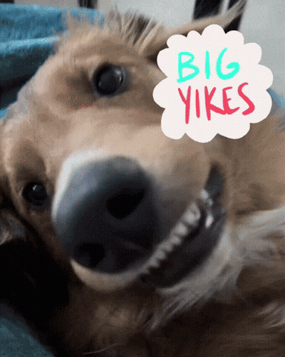 A Dog With Big Yikes Written On A Cloud GIF