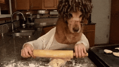 A Dog With Curly Hair Is Rolling Out Dough In A Kitchen GIF