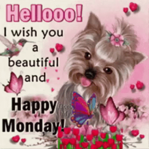 A Dog With Flowers And Butterflies Is On A Pink Background With A Happy Monday Greeting Card GIF