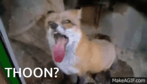 A Dog With Its Tongue Hanging Out And The Words Thoon Written On The Bottom . GIF