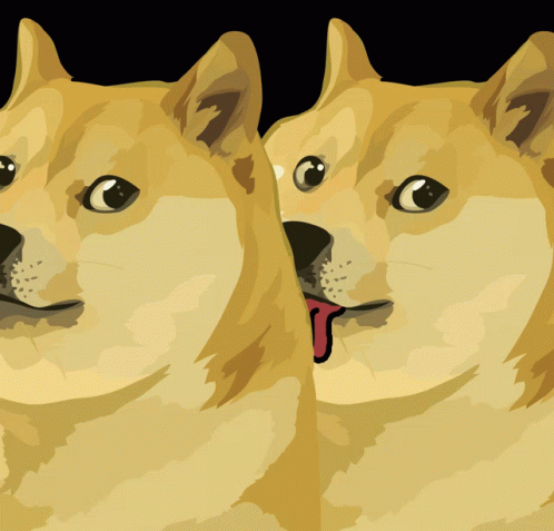 A Dog With Its Tongue Hanging Out Is Next To Another Dog With Its Tongue Hanging Out GIF