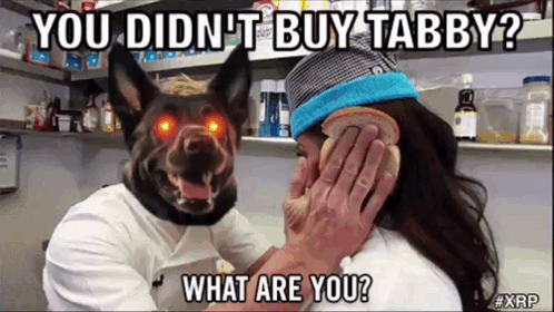 A Dog With Red Eyes Is Looking At A Woman Holding A Piece Of Bread In Front Of Her Face GIF