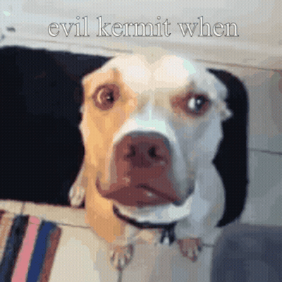 A Dog With The Words Evil Kermit When Written Above It GIF