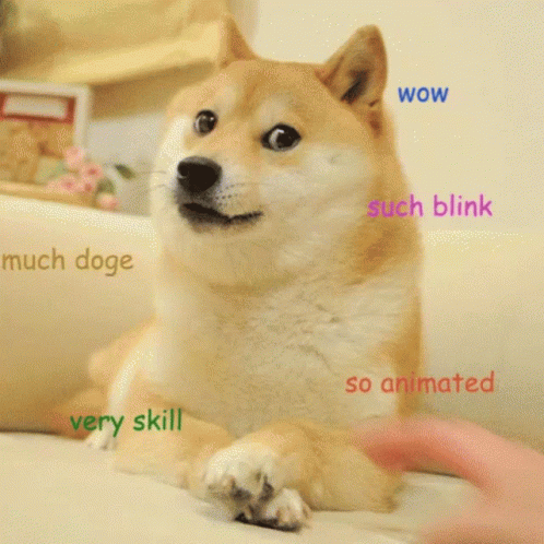 A Dog With The Words Wow Such Blink And So Animated Written On It GIF