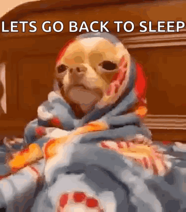 A Dog Wrapped In A Blanket Is Laying On A Bed With The Words Let 'S Go Back To Sleep Above It . GIF