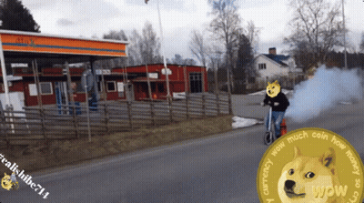 A Doge Coin That Says Wow Currency On It GIF