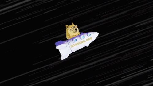 A Doge Is Riding On The Back Of A Rocket With The Words `` To The Moon '' Written On It . GIF